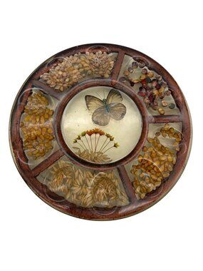 Vintage Lucite Deviled Egg Tray Divided Serving Dish Resin Butterfly Seed Inlay